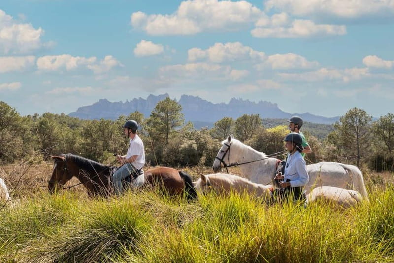From Barcelona: Montserrat Walking and Horseback Riding Tour - Visiting a Local Ranch and Encountering Montserrat’s Horses