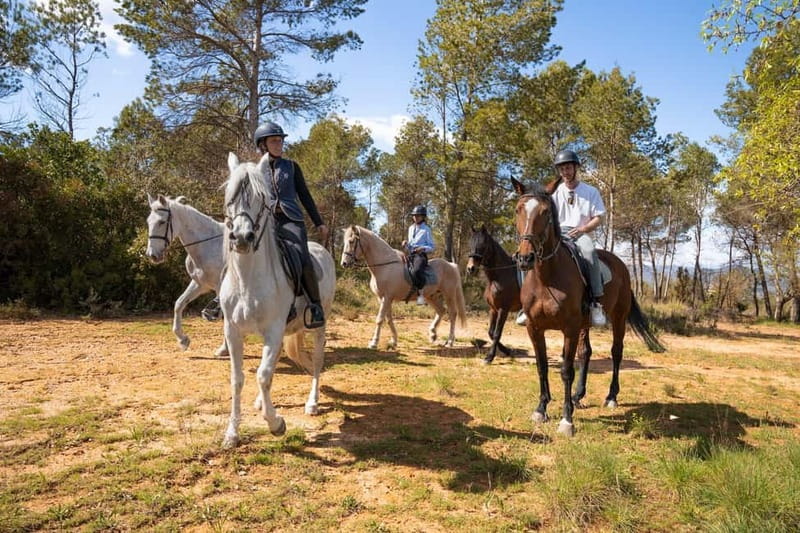 From Barcelona: Montserrat Walking and Horseback Riding Tour - Limitations and Considerations