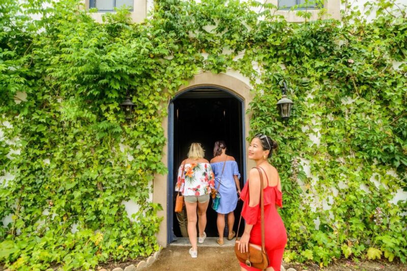 From Barcelona: Penedés Vineyards Tour by 4WD w/Wine & Cava - The Tasting Experience: Wines Paired with Gourmet Delicacies