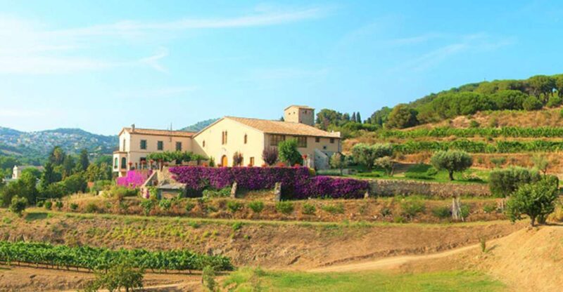 From Barcelona: Private Alella Wine Tour by Electric Bike - Key Points