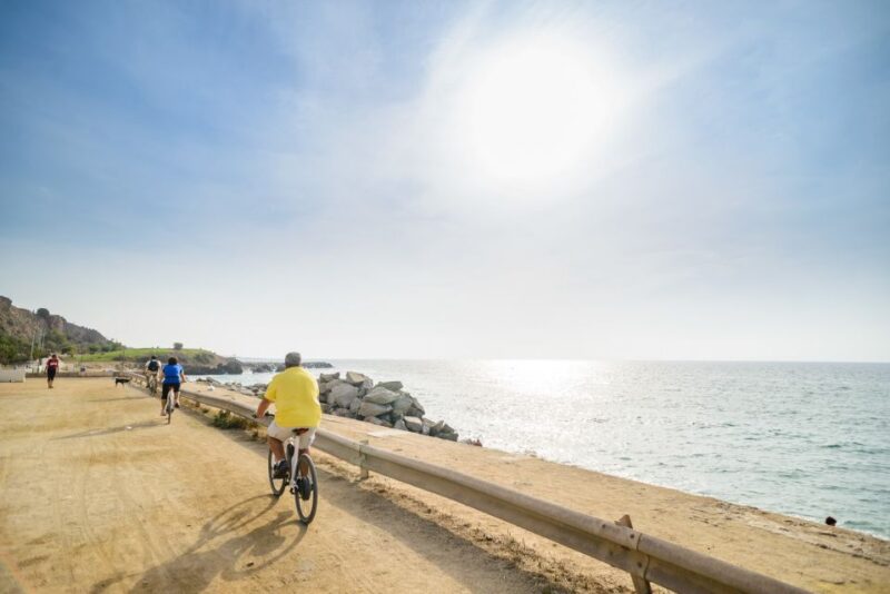 From Barcelona: Private Alella Wine Tour by Electric Bike - Visiting Alella’s Family-Run Organic Winery