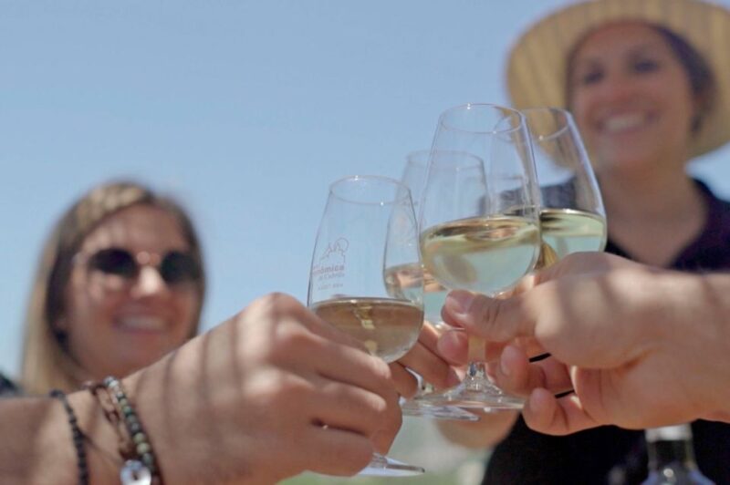 From Barcelona: Private Alella Wine Tour by Electric Bike - Physical Requirements and Accessibility