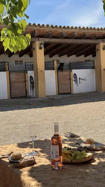 From Barcelona: PRIVATE Horseback Ride + Tapas + Picnic - Scenic Horseback Ride Through Penedès Vineyards