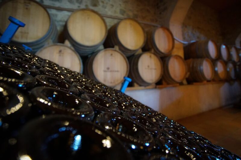 From Barcelona: Sailing and E-bike Winery Tour with Tastings - The Quality of Guides and Overall Experience