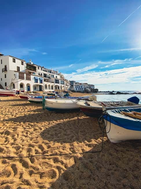 From Barcelona: Small-Group Tour Costa Brava & Dali Museum - Who Will Appreciate This Tour?