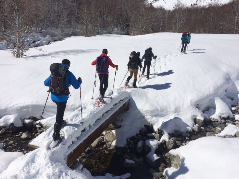 From Barcelona: Snowshoeing in the Pyrenees - From Barcelona to the Snow-Capped Pyrenees in Just One Day