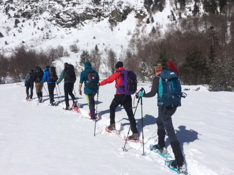 From Barcelona: Snowshoeing in the Pyrenees - Key Points