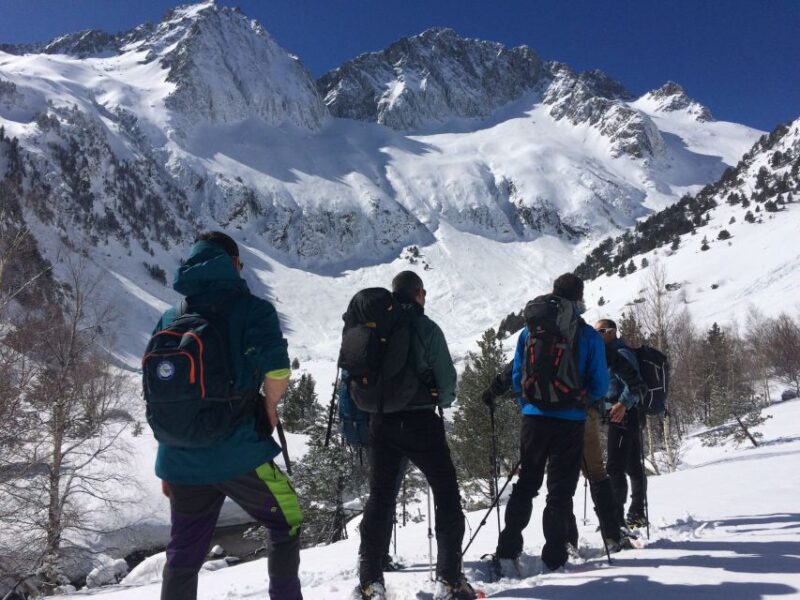 From Barcelona: Snowshoeing in the Pyrenees - Learning Snowshoeing: From Zero to Confident