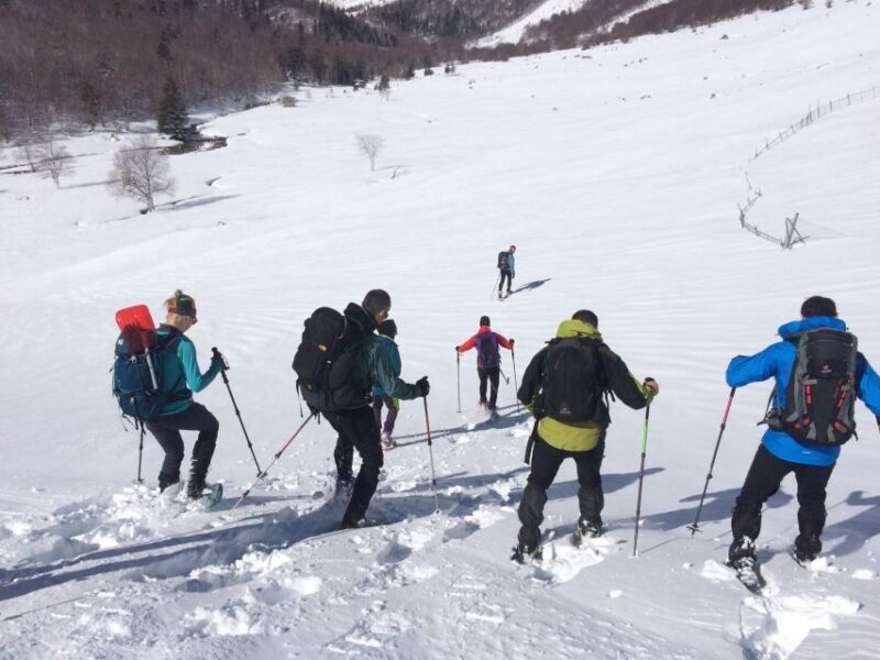 From Barcelona: Snowshoeing in the Pyrenees - Exploring the Snow-Covered Pyrenees Landscape