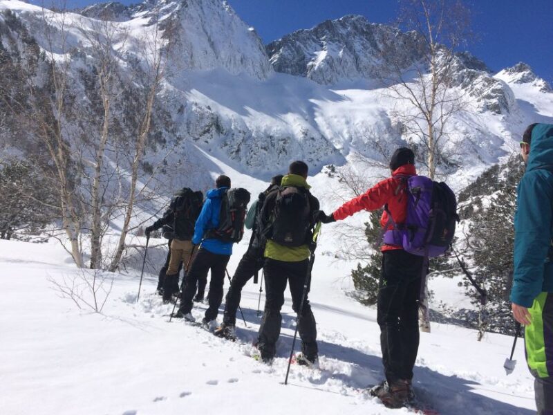 From Barcelona: Snowshoeing in the Pyrenees - Return Journey and Easy Access Back to Barcelona