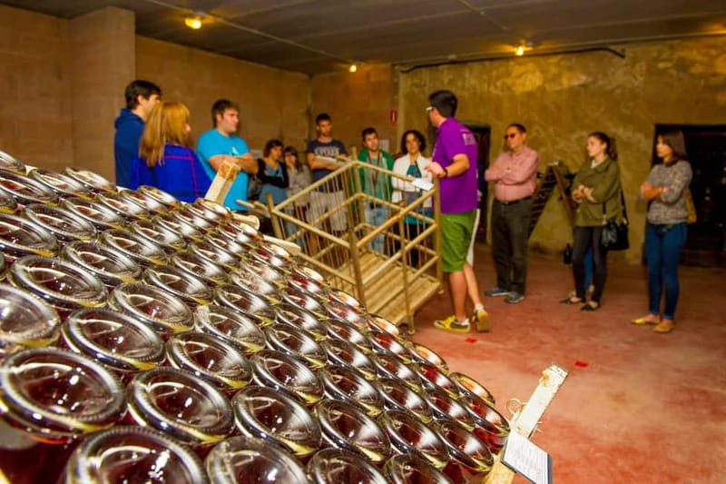 From Barcelona:Penedès Wine&Cava half-day trip with Workshop - Scenic Drive Through Penedès Vineyards