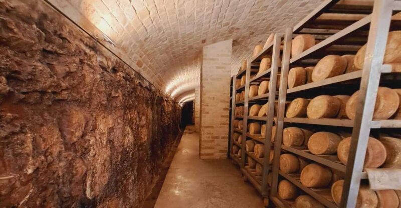 From Bari: Burrata cheese and confetti experience - Discover the Authentic Burrata and Confetti Tour from Bari