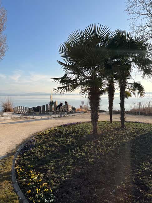 From Basel: 4 Countries and Lake Bodensee Private Car Tour - Logistics and Flexibility of the Private Tour