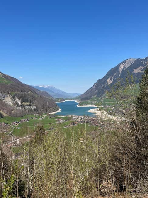 From Basel: Alps, Waterfalls and Lakes Private Car Tour - Strolling Through Interlaken’s Historic Streets and Flowered Parks