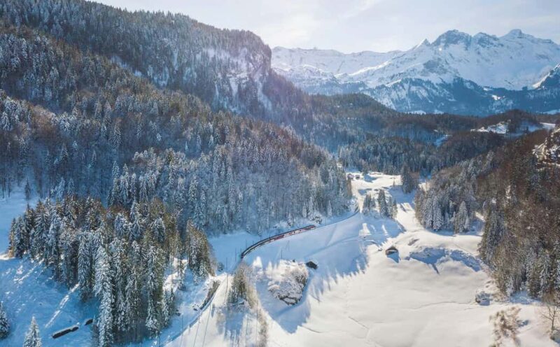 From Basel: Premium Panoramic train & Lucerne, Interlaken - Key Points