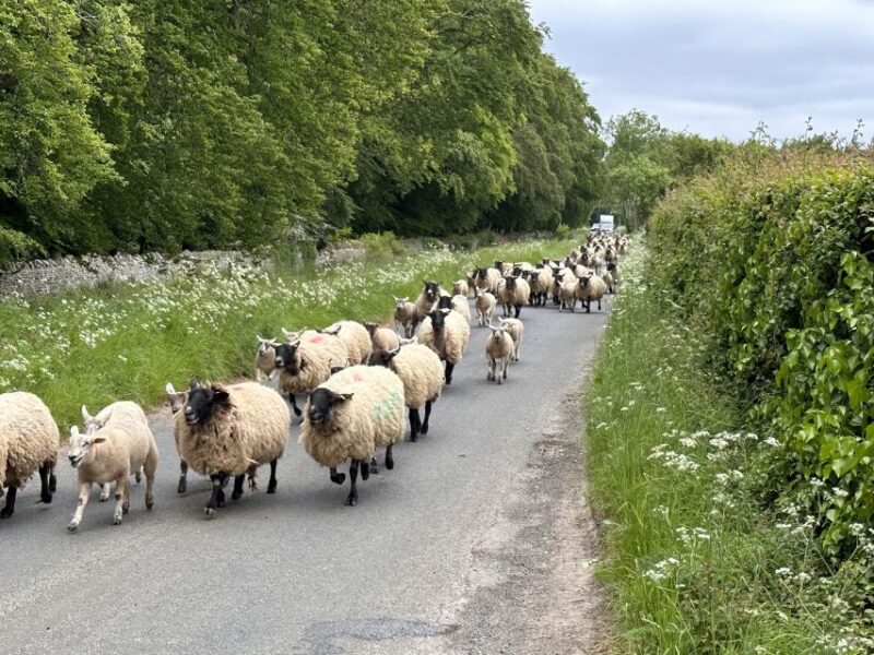 From Bath: Cotswolds Private Day Tour with Pickup - Visiting Tetbury, a Royal Connection