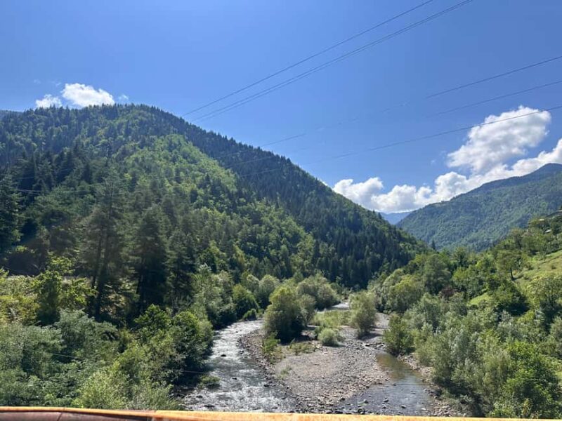 From Batumi: Self-Drive Wine Tasting in Mountainous Adjara - Logistics, Pacing, and Tour Flexibility