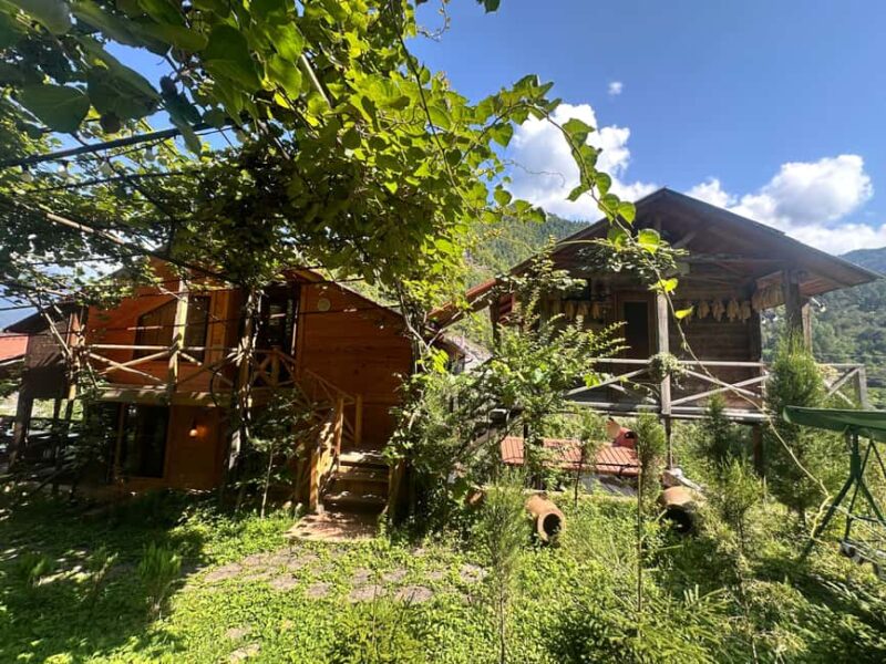 From Batumi: Self-Drive Wine Tasting in Mountainous Adjara - Practical Tips for Participants