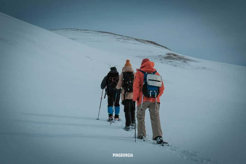 From Batumi: Snowshoe hiking ski resort Goderdzi - Ajara - Hiking to the Mountain Top and Coffee Break at 2500 Meters