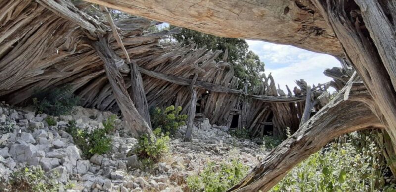 From Baunei: Cala Mariolu Hiking Tour - From Baunei: Cala Mariolu Hiking Tour – An Expert-Level Adventure in Sardinia