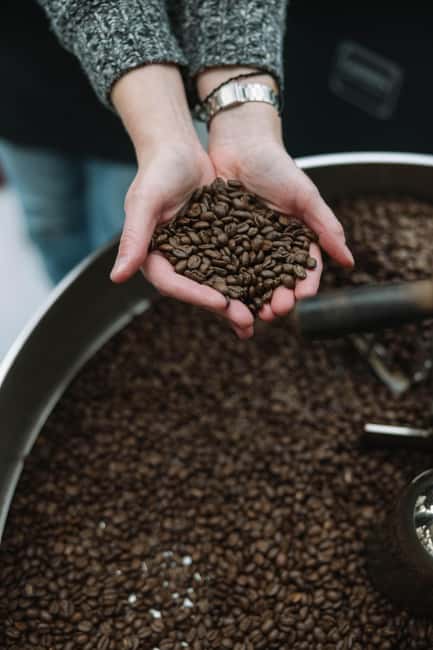 From Bean to Cup: Coffee Experience in Småland - Key Points