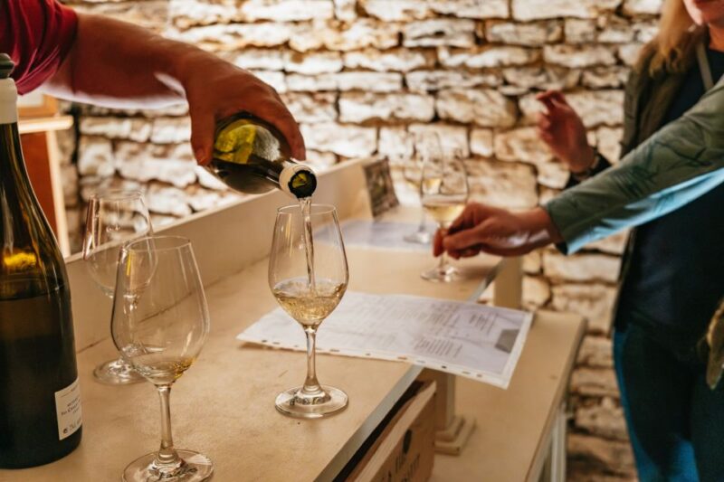 From Beaune: Burgundy Day Trip with 14 Wine Tastings - Key Points