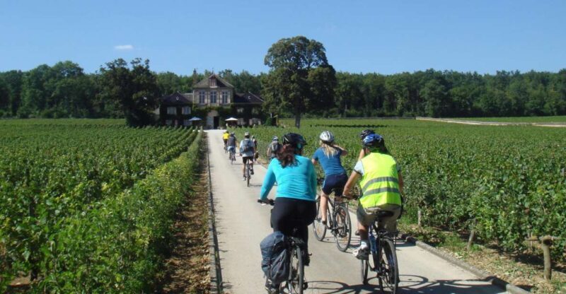 From Beaune: Full-Day Bicycle and Wine Tour in Burgundy - Burgundy’s Best Bike Tour for Wine Enthusiasts