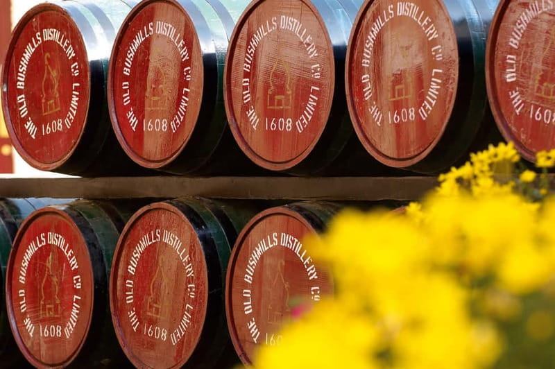 From Belfast: Full-Day Giant's Causeway Shore Excursion - Break in Cushendall and Belfast City Tour Highlights