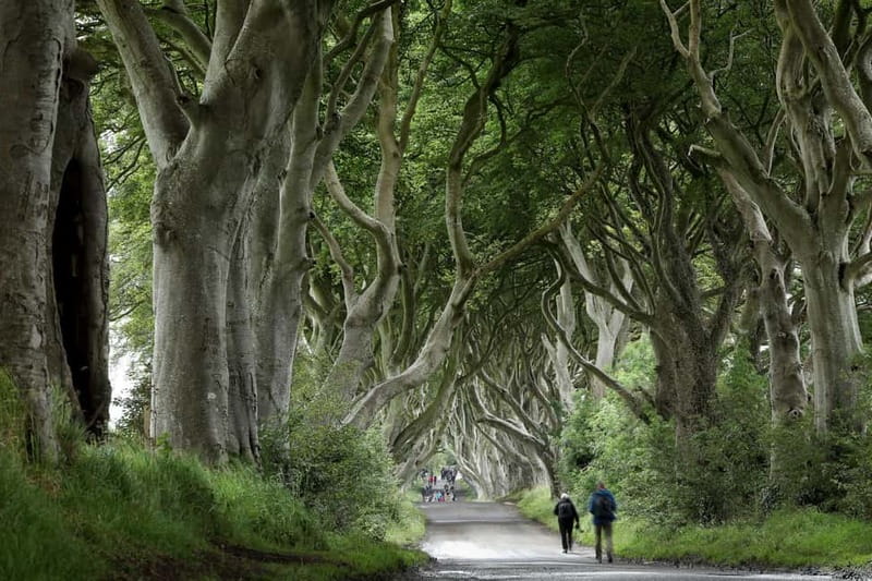 From Belfast: Giant's Causeway and Game of Thrones Tour - The Marvel of the Giant’s Causeway