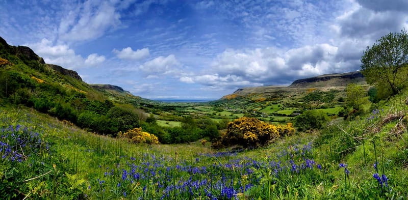 From Belfast: Giant's Causeway and Titanic Belfast Tour - The Dark Hedges: A Game of Thrones Landmark