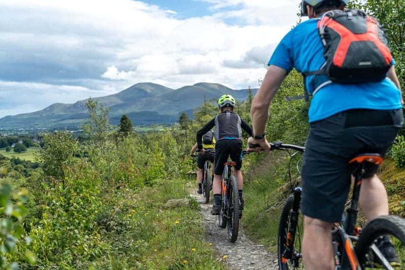 From Belfast: Mountain Bike Experience - Exploring the Trails at Castlewellan Forest Park