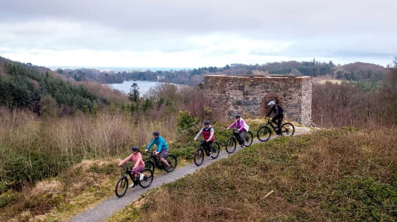 From Belfast: Mountain Bike Experience - Physical Requirements and Accessibility