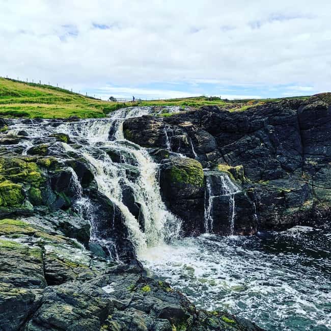 From Belfast: Private Tour of the Glens & Giants Causeway - Key Points