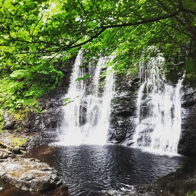 From Belfast: Private Tour of the Glens & Giants Causeway - Introduction to the Private Tour of the Glens & Giants Causeway