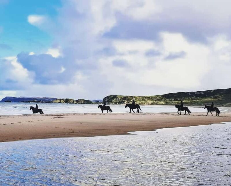 From Belfast: Private Tour of the Glens & Giants Causeway - Visiting the Giants Causeway