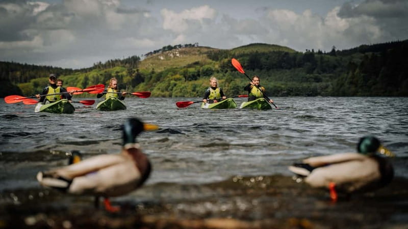 From Belfast : Sit-On-Top Kayak Experience - What Makes This Kayak Experience Stand Out