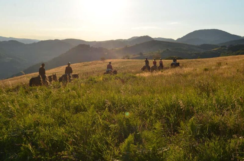 From Belgrade: 6-Day umadija Trail Horseback Riding Tour - Riding Through the Povlen Mountains: The First Major Leg