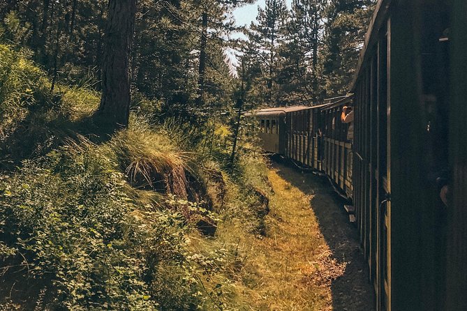 From Belgrade: Best of West (Drina House, Drvengrad & Sargan 8) - Discover Mokra Gora Wooden Village and Film History