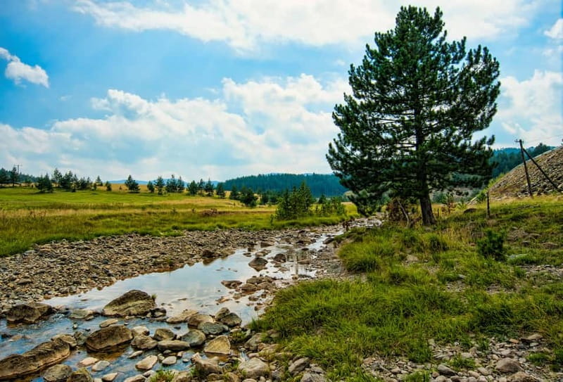 From Belgrade: Full-Day Guided Tour of Zlatibor Mountain - Tips for Making the Most of the Tour