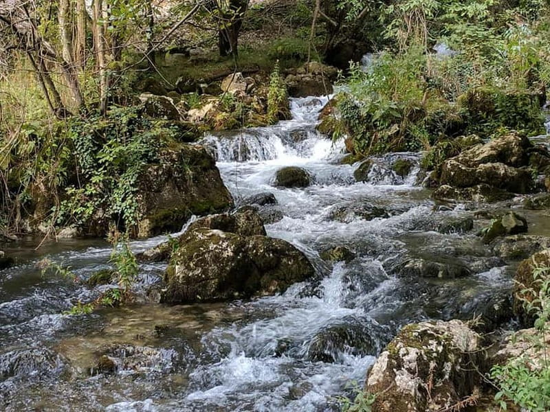 From Belgrade: Full-Day Resava Cave & Medieval Monasteries - Frequently Asked Questions