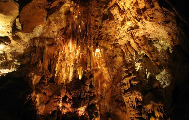 From Belgrade: Manasija Monastery and Resava Cave Tour - Key Points