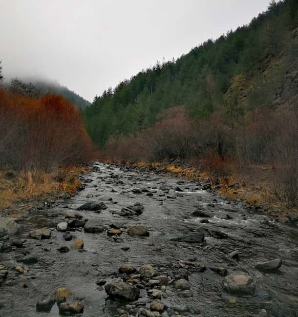 From Belgrade: Mokra Gora Sargan 8 train,Mecavnik & Zlatibor - Expert Guides and Personal Experience