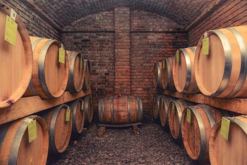 From Belgrade: Novi Sad and Sremski Karlovci Day Trip - Key Points