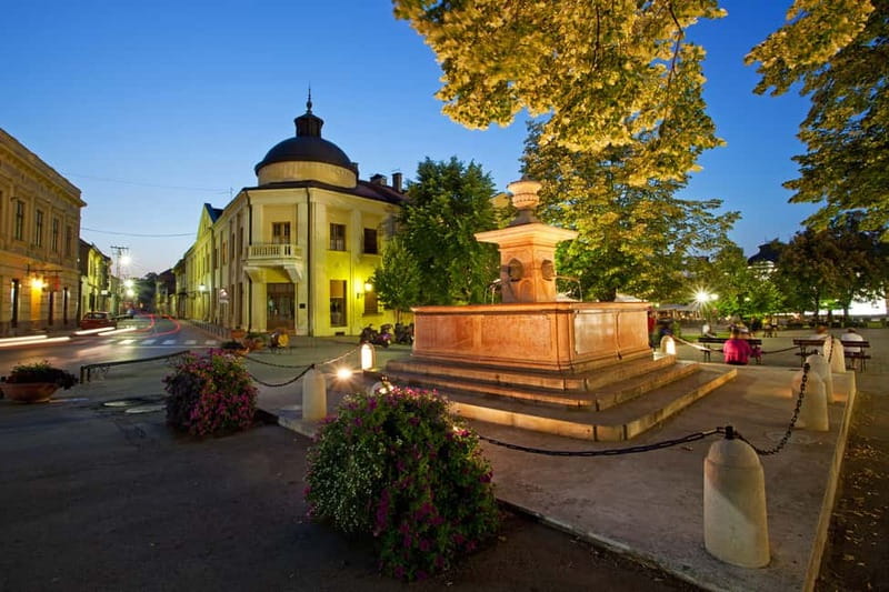 From Belgrade: Novi Sad and Sremski Karlovci Tour - From Belgrade to the Heart of Vojvodina’s Culture and History