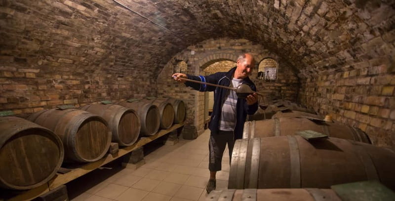 From Belgrade: Novi Sad and Sremski Karlovci Tour - Discovering the Magnificence of Petrovaradin Fortress