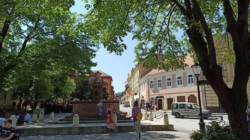 From Belgrade: Novi Sad and Sremski Karlovci Tour - Overall Value and Suitability