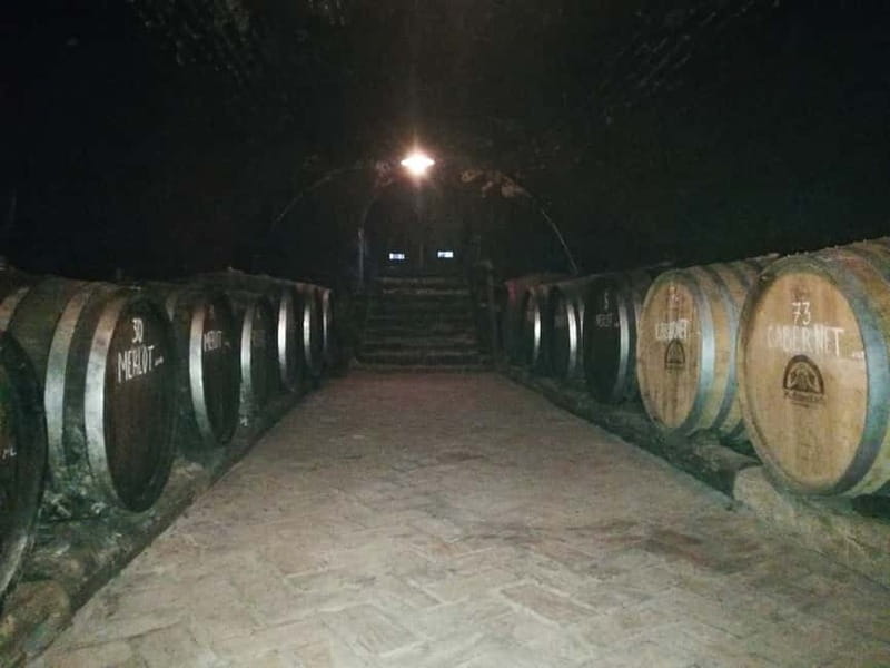 From Belgrade: Novi Sad & Fruska gora & winery and monastery - Petrovaradin Fortress: A Historic Guardian of Novi Sad