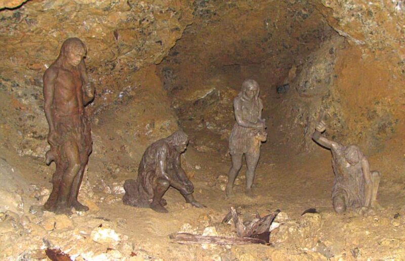 From Belgrade: Serbian Royal Legacy & Wine Day Trip - Traditional Sumadija Lunch at Tarpos Winery