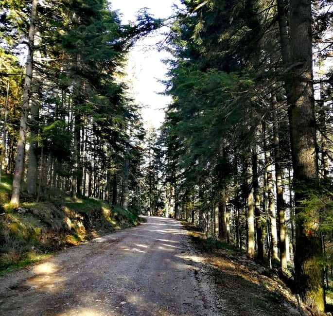 From Belgrade: Tara NP & Drina river & House on the Drina - Exploring the House on the Drina