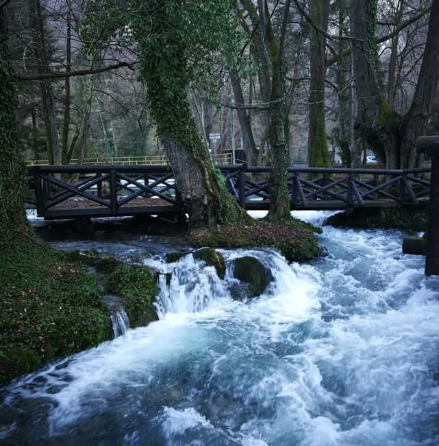 From Belgrade: Tara NP & Drina river & House on the Drina - Who Will Enjoy This Tour Most